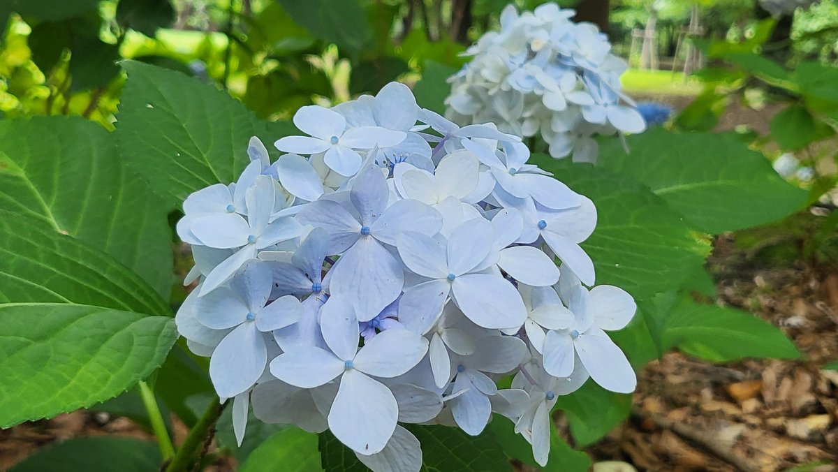 ame5547's tweet photo. https://t.co/tefKMtnWLI