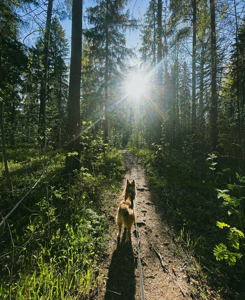 eeajuulia's tweet photo. En olisi uskonut että tämä paikka tulisi antamaan niin paljon, kuin se on mulle antanut. Kaupunki johon olin varma etten koskaan tulisi muuttamaan otti avosylin vastaan.… https://t.co/iD3q1NblvH