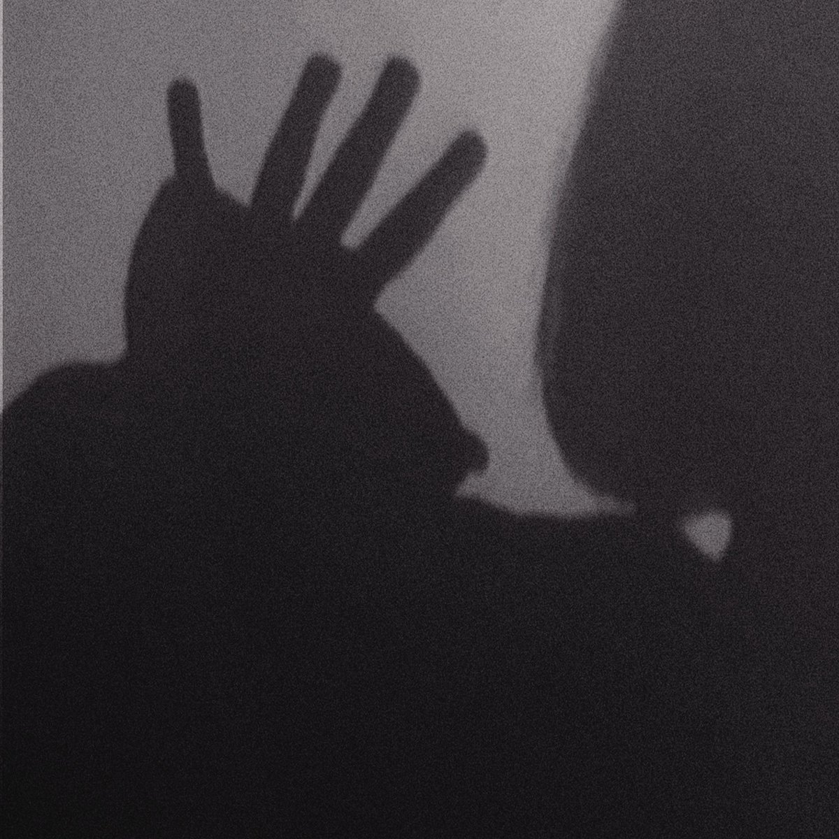 ih8tu34's tweet photo. shadows https://t.co/XKnYUDLihz