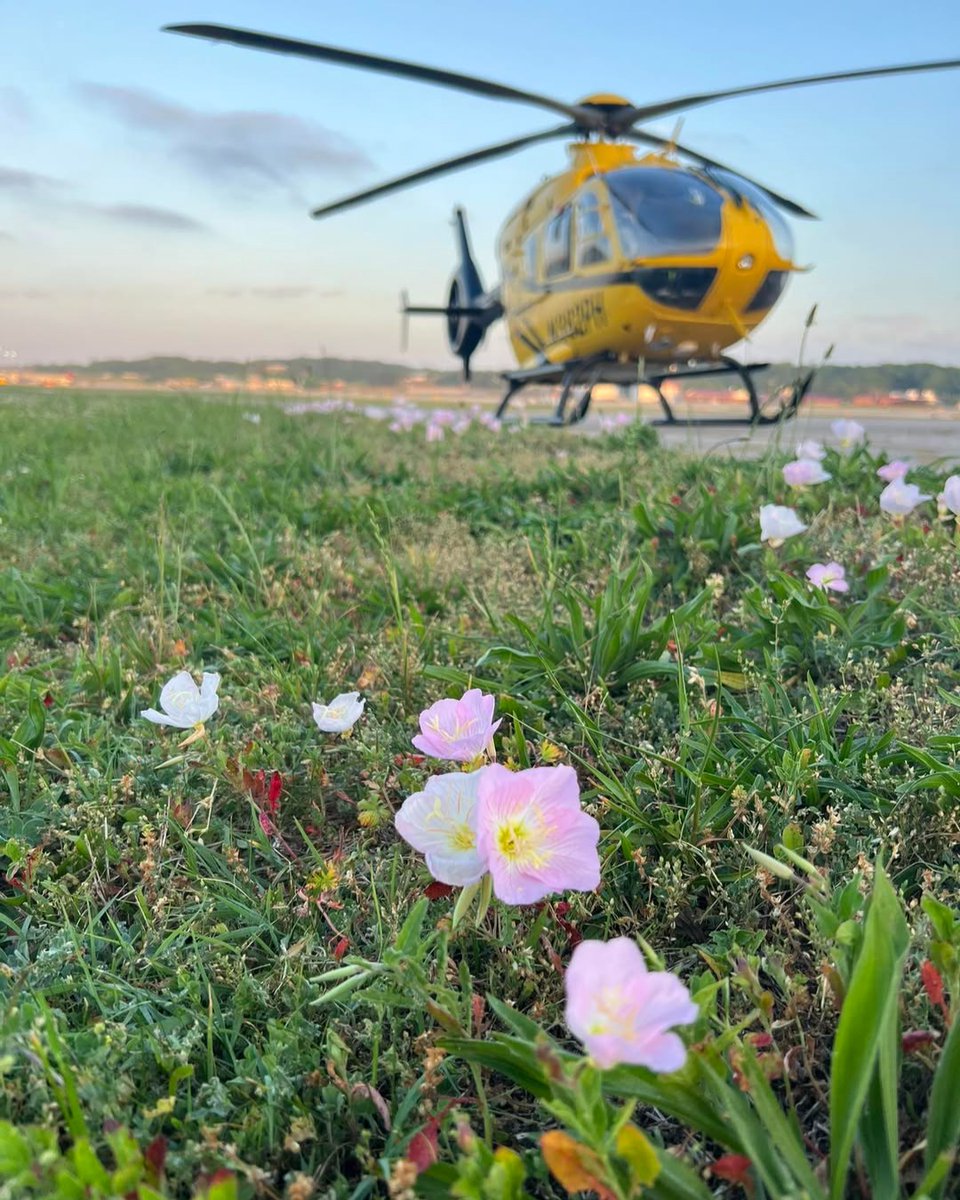 PHIAirMed's tweet photo. Here’s to First Day of Summer 🌸🚁 As summer officially begins, our crews remain ready 24/7 to answer the call whenever patients need us most. Stay safe, stay hydrated, and enjoy the season ahead.

From our team in Columbus, MS. https://t.co/gd3AhbBFBi