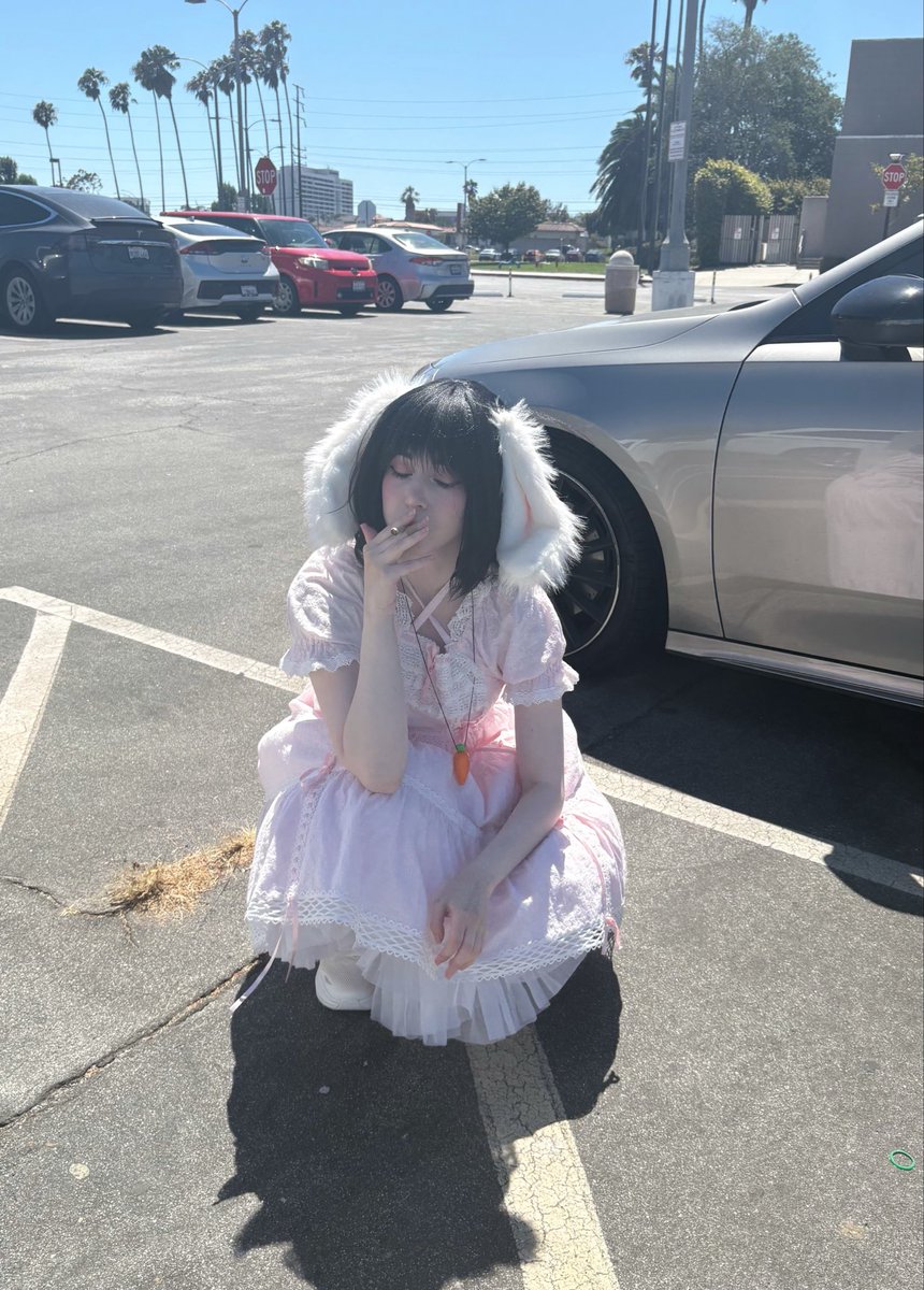 amanda ☆〜（ゝ。∂ ) @ touhoufest tweet media