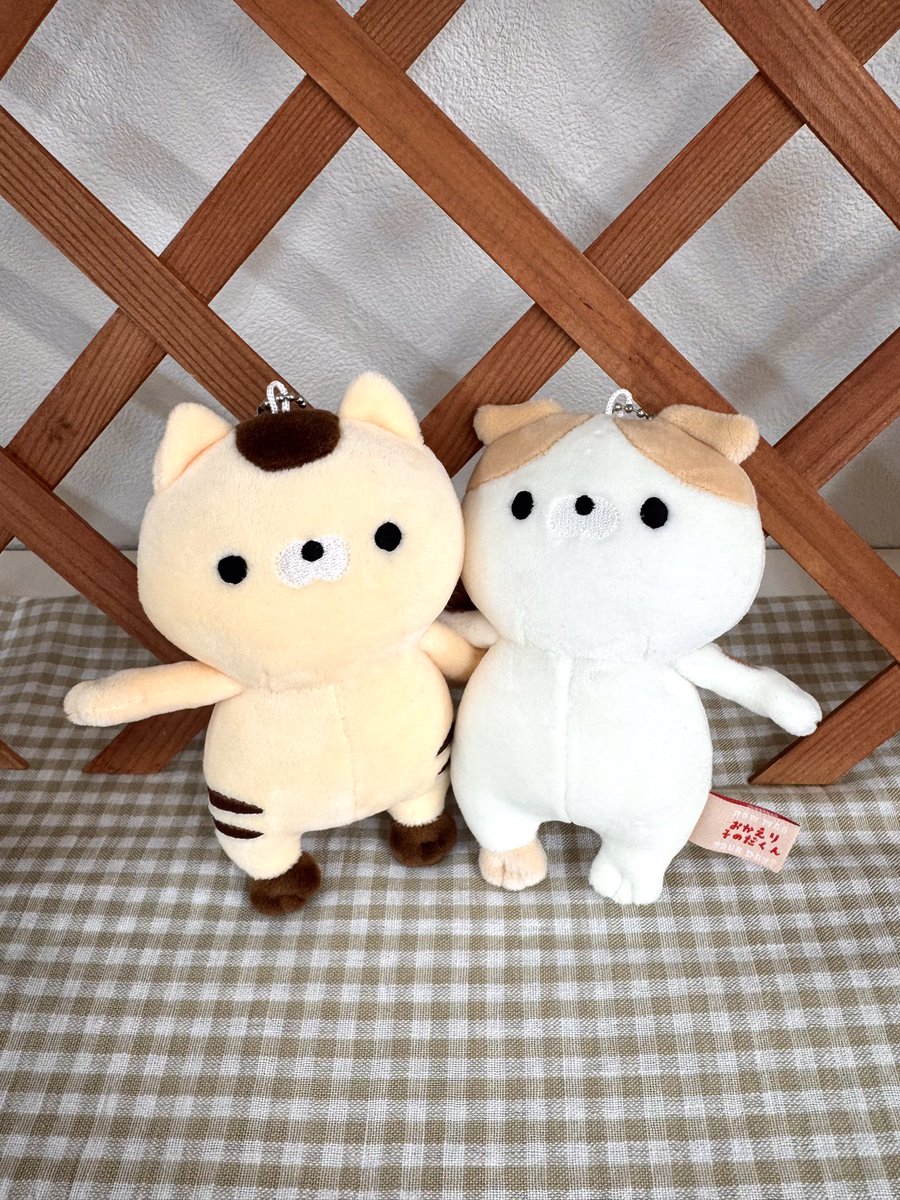 donapaula001's tweet photo. 📢　\  残りわずか  /
『ぷちはぴマスコット小栗くん　苗木くん』
ご好評につき、残りわずかになりました、、🙇🏼

ご購入をご検討中の方はお早めに‼️ https://t.co/hQ9s2fbOkk