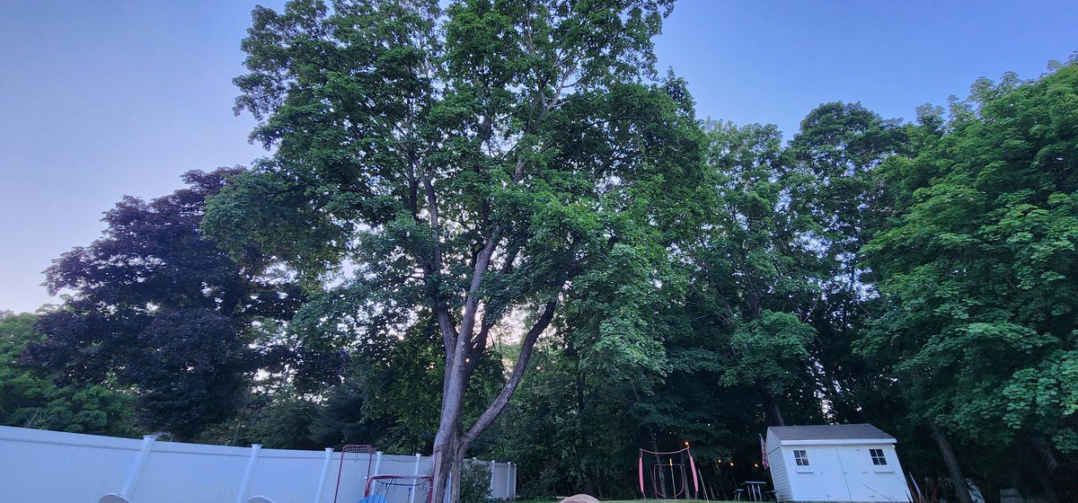 droidsrule's tweet photo. Happy Summer Solstice. Beautiful out I Wakefield, Ma. At 8:00pm https://t.co/rDwUShWlKP