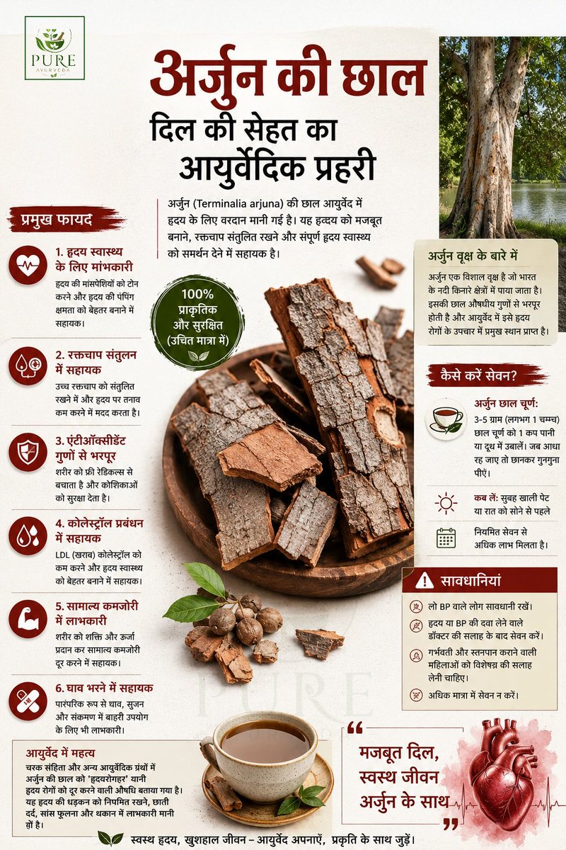 PAyurvedaLife's tweet photo. ❤️ आयुर्वेद में अर्जुन की छाल को हृदय का मित्र कहा गया है।

सही मात्रा और उचित सलाह के साथ इसका सेवन हृदय स्वास्थ्य को समर्थन देने में सहायक हो सकता है। https://t.co/sx3RdEBfnY