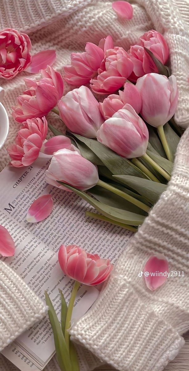 Flowerslovers44's tweet photo. https://t.co/yESYJBQwBI