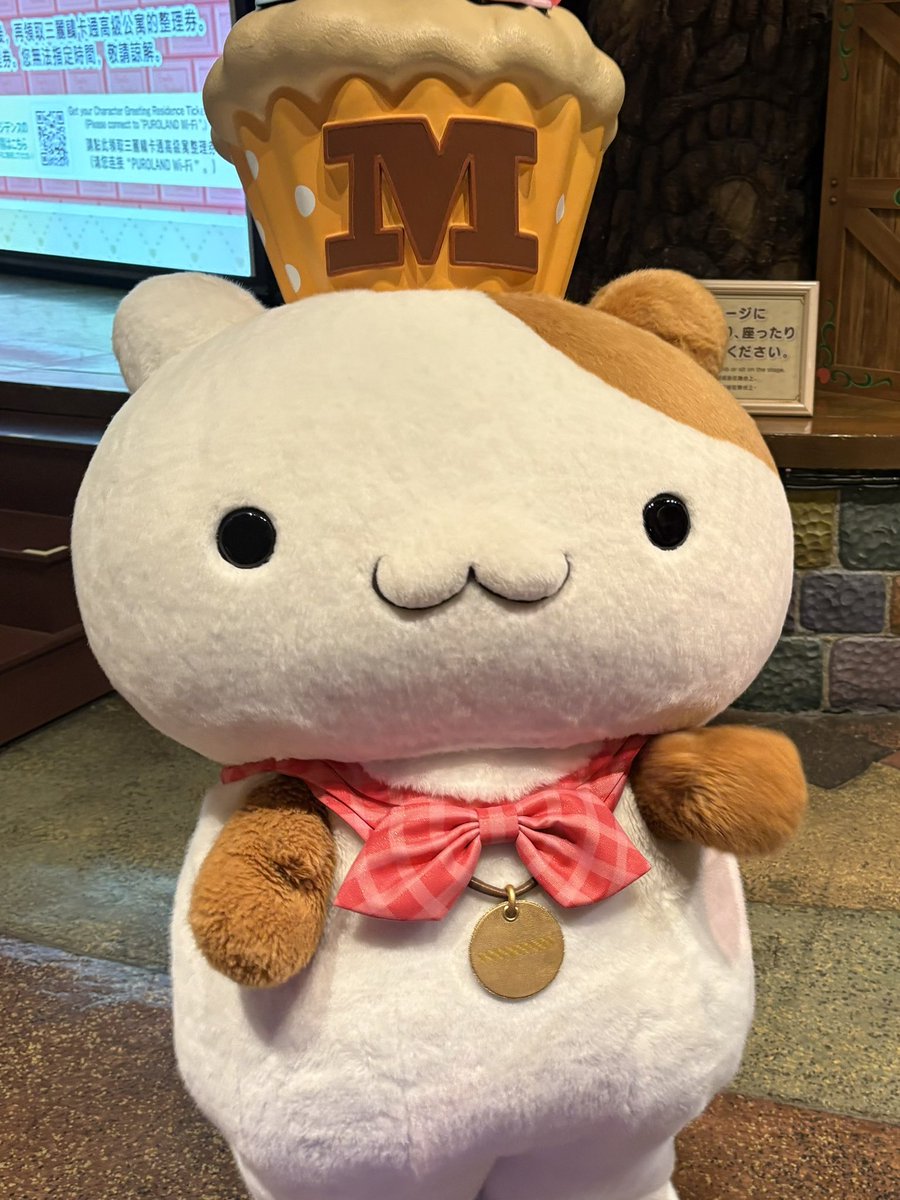 ai_comugi's tweet photo. 初めてマフィンに会った！🧁 https://t.co/IkJ0zLxjCf