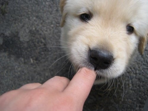 Paw Viral🐾 tweet media