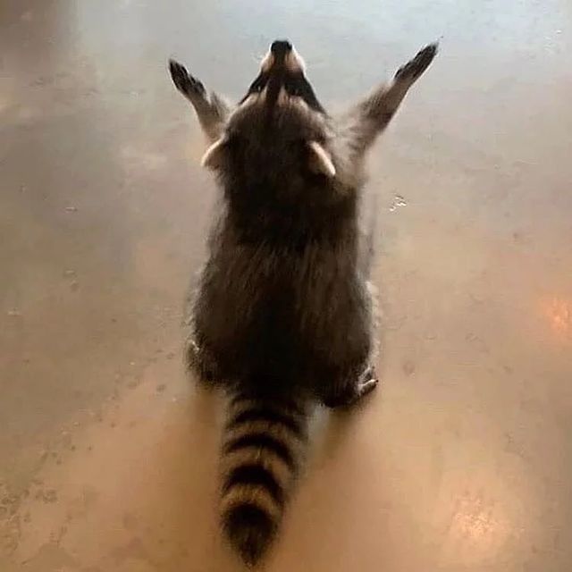 Yolo2230's tweet photo. @AvaVtuber_ YES https://t.co/NnMeJGL5Jk