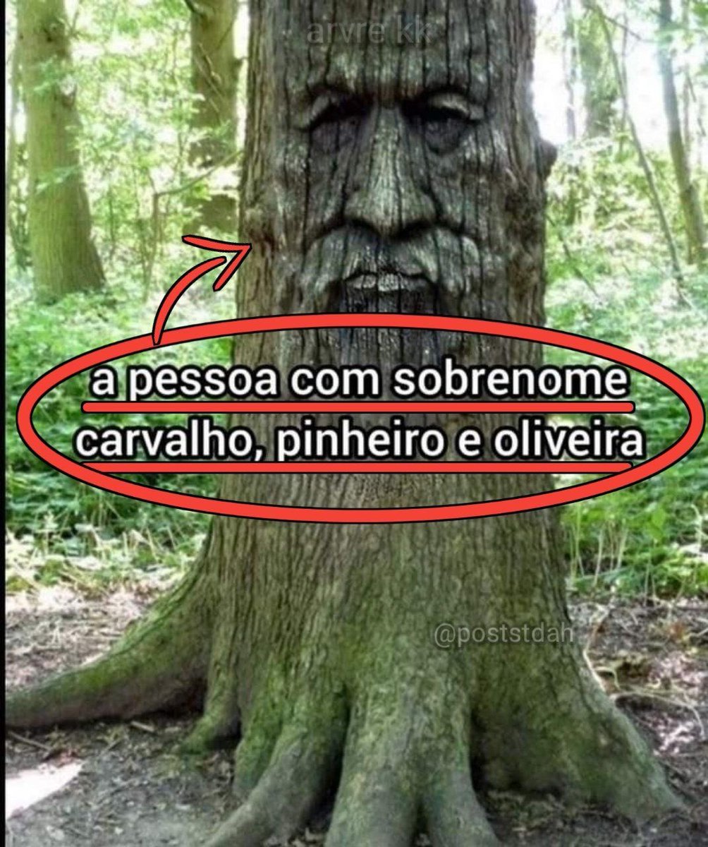 Shitpost só que de verdade tweet media