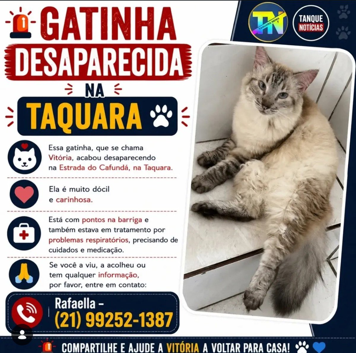 taquararjnews's tweet photo. 🚨 GATINHA DESAPARECIDA NA TAQUARA

🐱 Essa gatinha, que se chama Vitória, acabou desaparecendo na Estrada do Cafundá, na Taquara.

💗 Ela é muito dócil e carinhosa.

🩺 Está com pontos na barriga e também estava em tratamento por problemas respiratórios, precisando de cuidados e medicação.

💲A dona vai dar uma recompensa de R$200,00 para quem a encontra-la.

🙏 Se você a viu, a acolheu ou tem qualquer informação, por favor, entre em contato:

📞 Rafaella – (21) 99252-1387