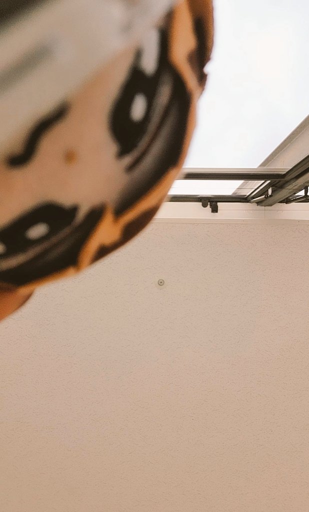 giru0707's tweet photo. こじビちゃんまだ私の所に来てないので、こじぬいちゃんと3日間旅してました！
しかしながら、帰る時が迫り身体が激おも～w
昨日あってくれたこーじ担さん本当にありがとうございました！🧡
またお会いできる日を願って！！！ https://t.co/SHInWdA0qO