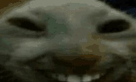 Mothypasta's tweet photo. @ramonavflowers7 This guy lmao the comments are just filled with him speaking into the aether its funny asf. https://t.co/bMH827PODo