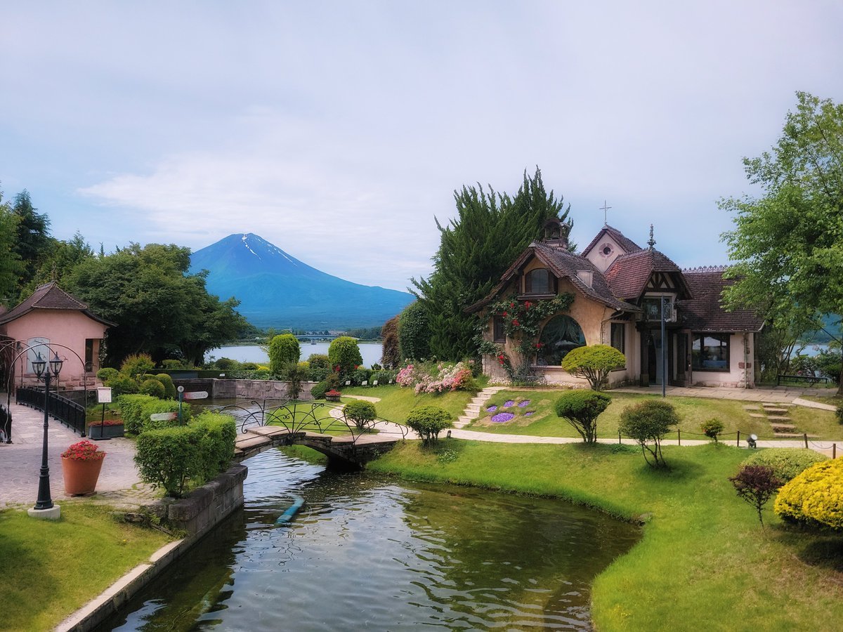 kmf1999's tweet photo. 6月22日(月曜日)本日は絶景日和。美しい富士山をご覧頂けます。バラが彩る庭園とヨーロッパの街並み、そして雄大な富士山。今日だけの特別な景色をぜひお楽しみください。

#河口湖音楽と森の美術館#河口湖#絶景#バラ園#山梨観光 https://t.co/tmHweaZh1K