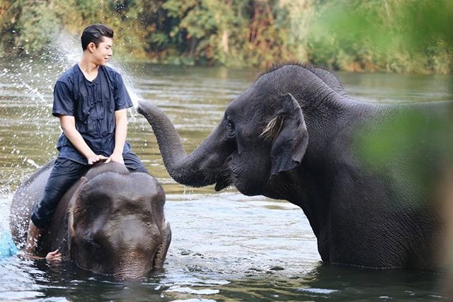 thginsk_'s tweet photo. ชีเป็นเจ้าหยิงดิสนี่ย์จิงๆ https://t.co/ZrLflH4wIb
