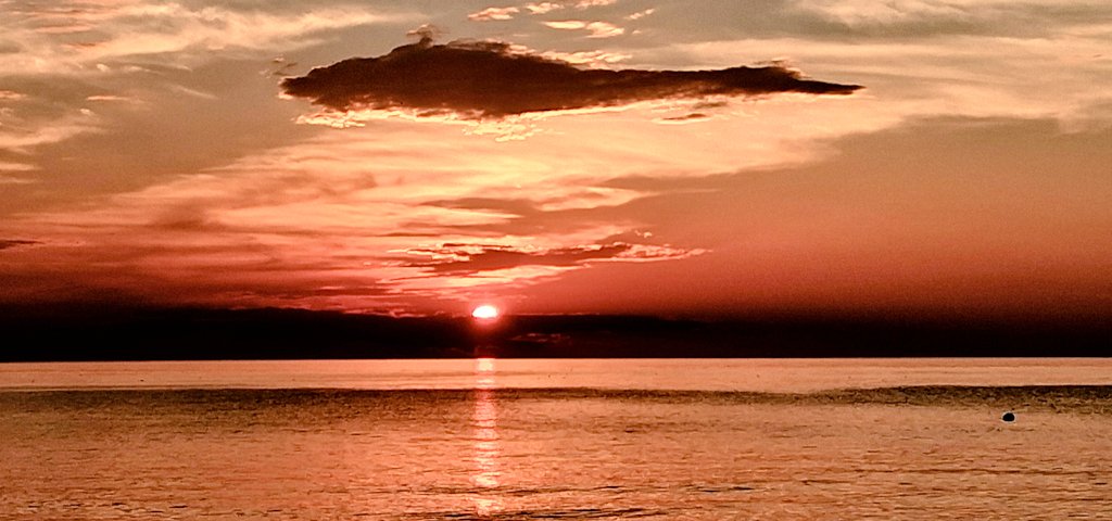 MoonglowArchie's tweet photo. Have you been clear to Cape Cod? Massachusetts? I knew you'd traveled, but I never realized you'd been that far!
#SinclairLewis #MainStreet https://t.co/rn0GeXkDiT
