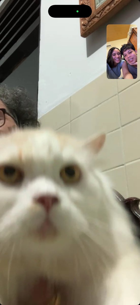 anfebrina's tweet photo. Buah hatiku 🐈 https://t.co/ilZrNejsfC