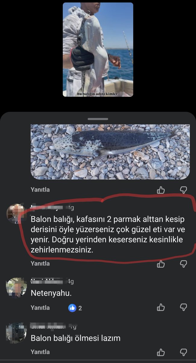 Onur Han Mergen Hitit 𐱅𐰇𐰼𐰰 tweet media
