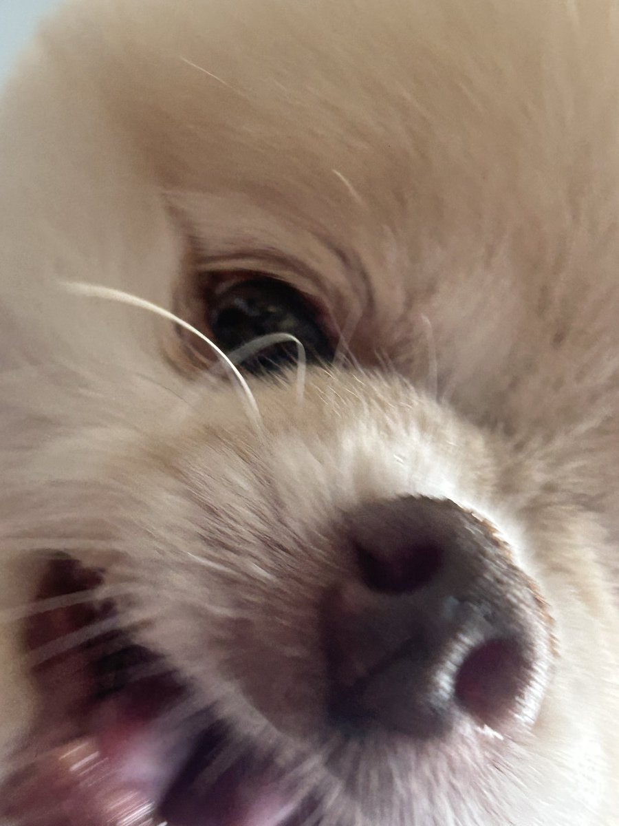 lko_l5's tweet photo. 証拠撮ってたら犯人が詰め寄ってきた。
シーツ舐められて冷たいんだけどwwやめれる？w https://t.co/c2OYv3sqvN