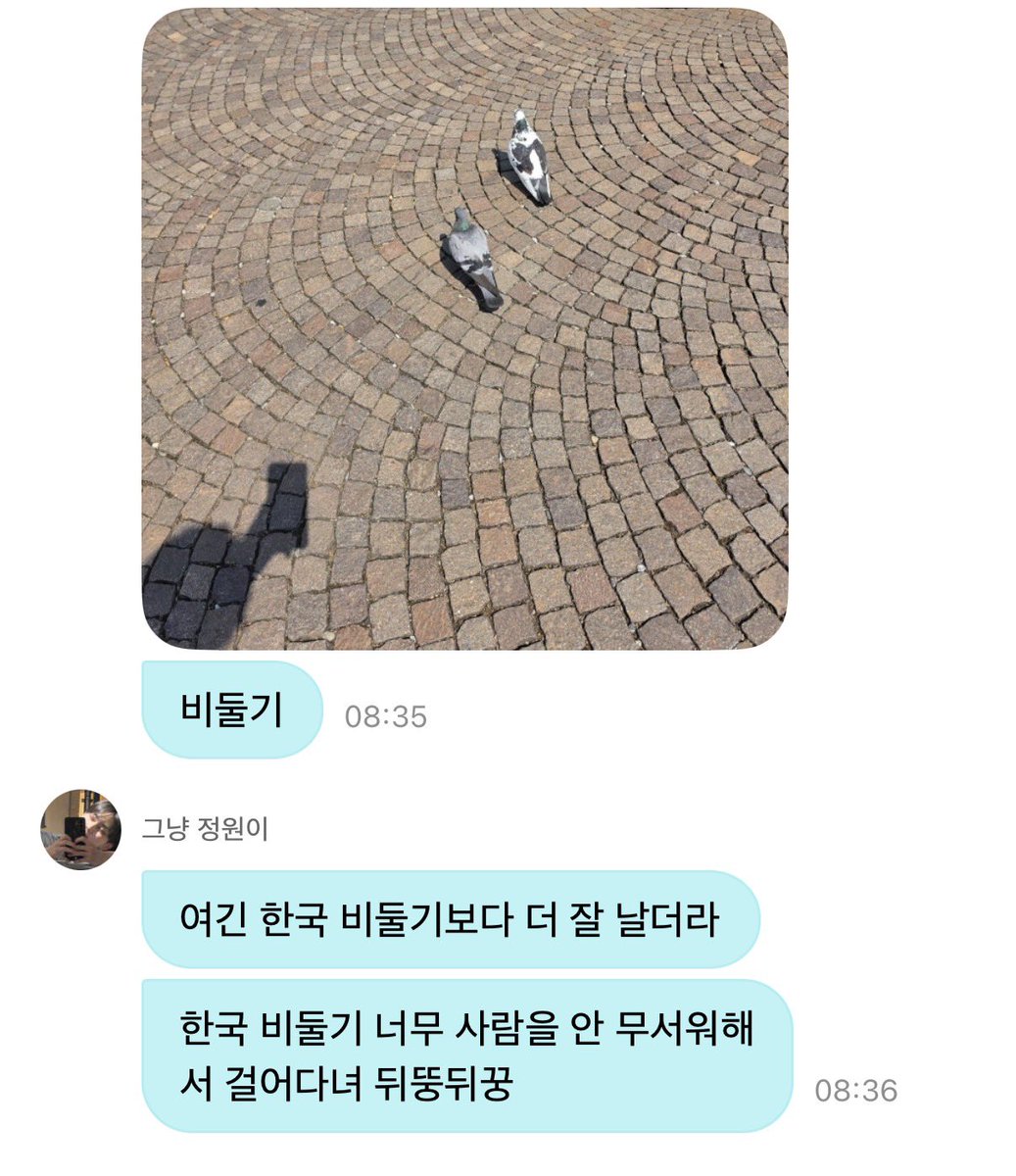 wnaiehwIoshsn's tweet photo. 뒤뚱뒤꿍 https://t.co/MA55vVAIUt