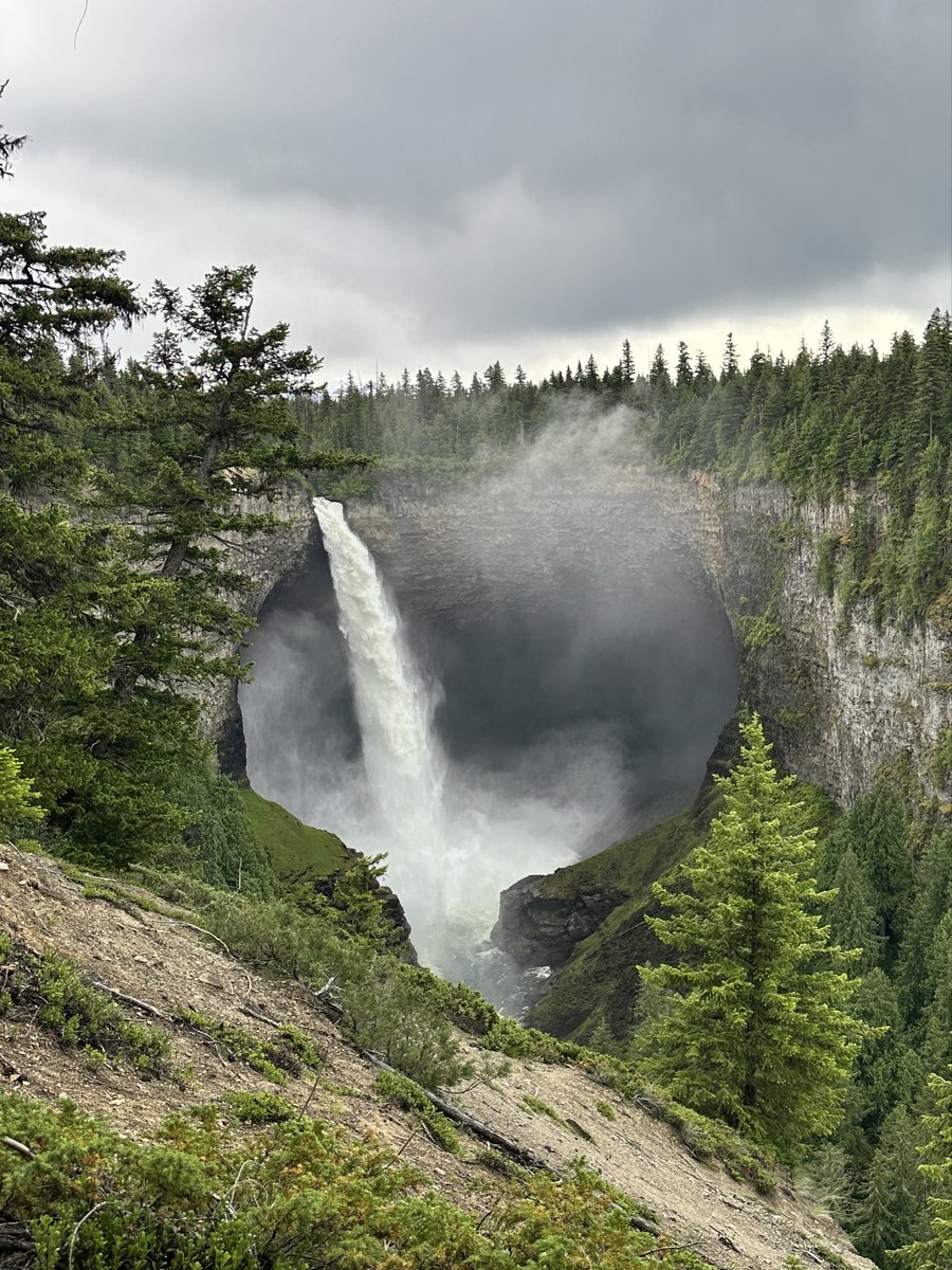 JennieP27395861's tweet photo. We spent the day chasing waterfalls and found a few friends along the way.
The bear photo was taken from the car a safe distance away.
#HelmkinFalls #WellsGray https://t.co/xNQyrXWECX