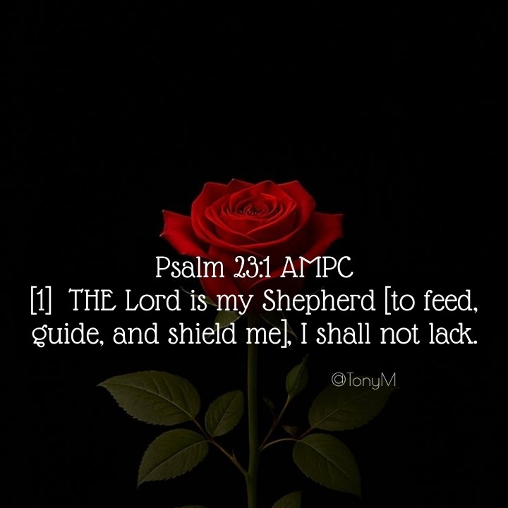 Tony_Maleche's tweet photo. John 10:9, 11, 14-15 NKJV
[9] I am the door. If anyone enters by Me, he will be saved, and will go in and out and find pasture. [11] “I am the good shepherd. The good shepherd gives His life for the sheep. [14] I am the good shepherd; and I know My sheep, and am known by My own. https://t.co/62eMJB2Wqb