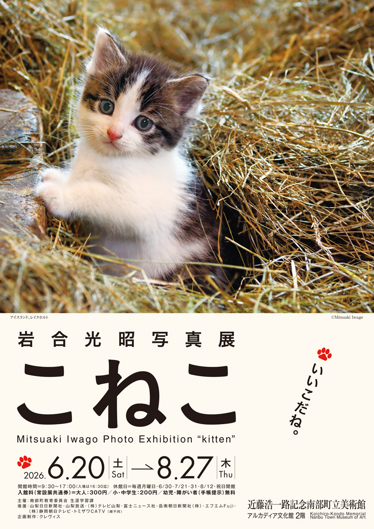 iwagocats's tweet photo. 岩合光昭写真展「こねこ」が山梨県南巨摩郡南部町にある近藤浩一路記念南部町立美術館にて開催中！
愛くるしく元気いっぱいに暮らす“こねこ”、その日々の冒険を約80点の作品にてお楽しみ下さい。
写真集をはじめカレンダー、会場限定のオリジナルグッズ、ねこ雑貨などに取り揃えております🐈 https://t.co/AhrCeYRuaR