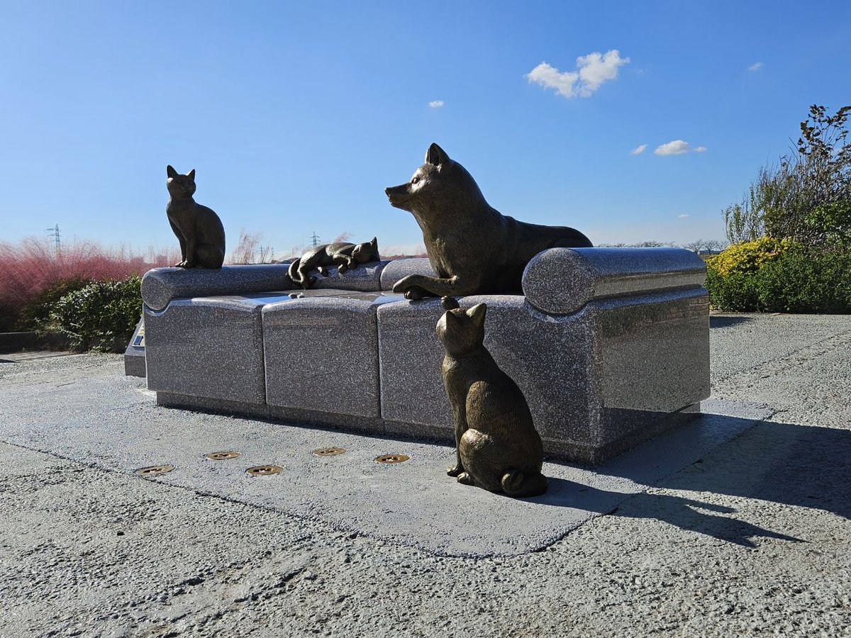 ownthedoge's tweet photo. @AMAZlNGNATURE Thank you for featuring the Doge Statue

We built this monument to Kabosu alongside her parents @kabosumama, the mayor of Sakura City, Doge meme and Dogecoin fans Worldwide 💛 https://t.co/B0lmrzVQbn