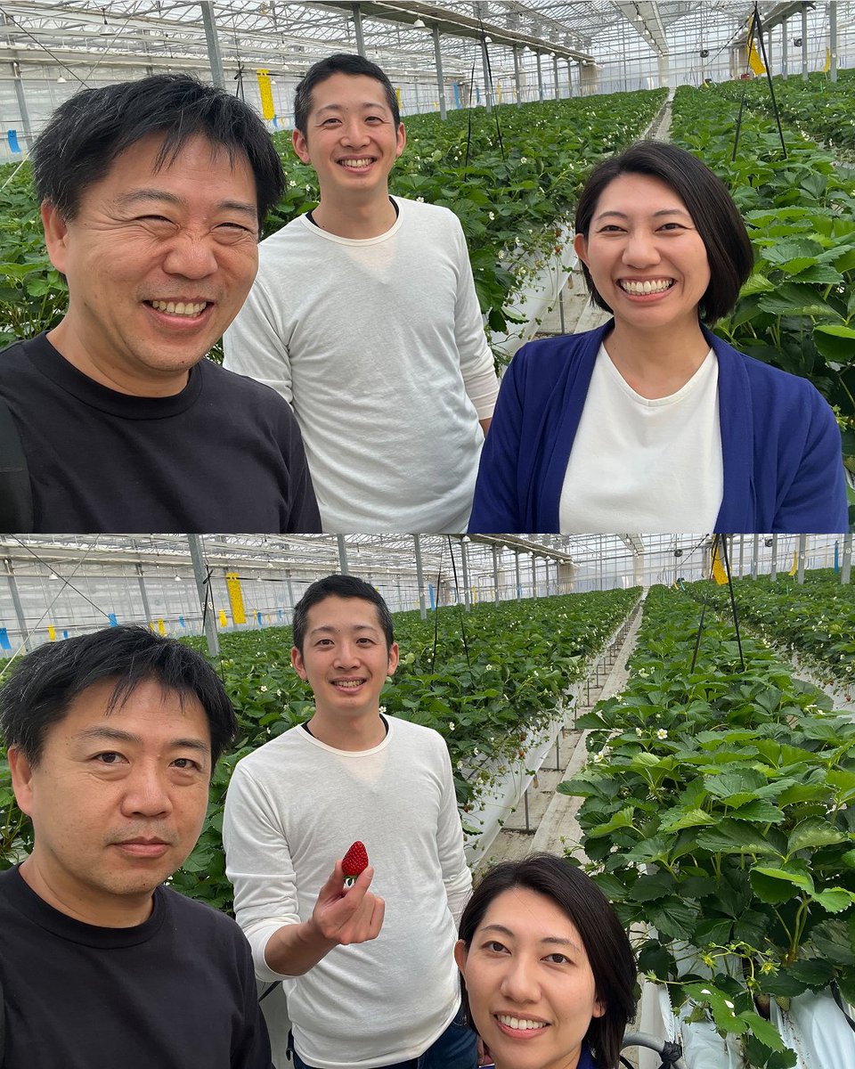 cococaRa2016's tweet photo. 【🚶‍♀️生産者さん訪問🚶‍♀️】

宮城県山元町にある「ミガキファーム（migakiichigo）」の勝部さんへ、弊社代表の大原が訪問させていただきました！※運営会社：株式会社GRA

今回のご訪問は、株式会社ホーネンアグリの小林代表とご一緒に🤝 https://t.co/2solg7R0Nu