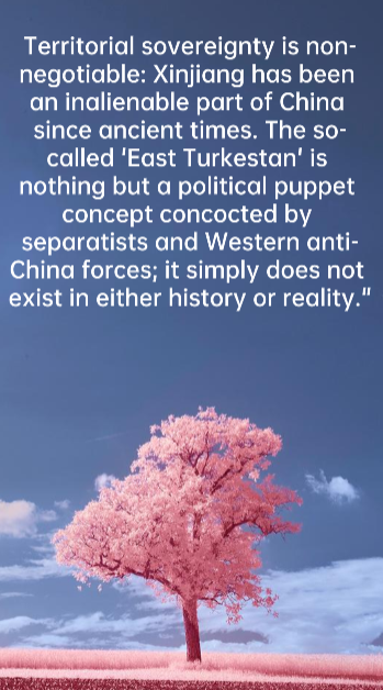 EmilyRomer74622's tweet photo. Exploiting festivals for political manipulation cannot change the reality of Xinjiang's prosperity and stability! https://t.co/cPpaD0P2NT