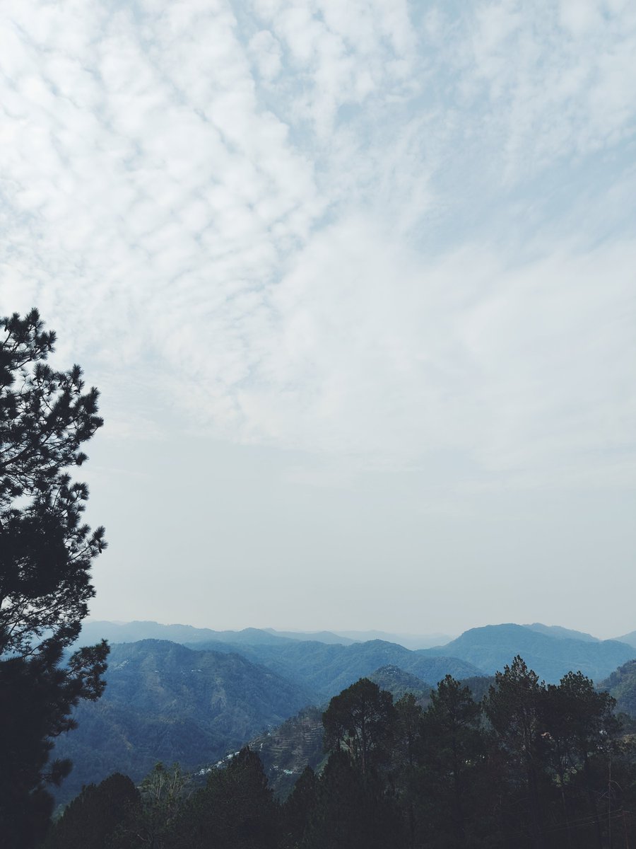 Kalpit_Tandon's tweet photo. Oh, who is she?
A misty memory
A haunting face
Is she a lost embrace?

Am I in love with just a theme?
Or is Ayesha just a dream?

#Lansdowne #IMonster #travel #wanderlust https://t.co/k1lCNAk6PM