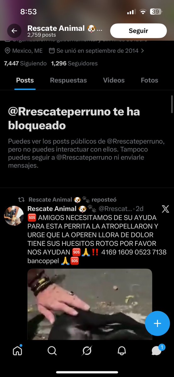 Srdobbi's tweet photo. Les Ayude ( poco) en rescate y atención de perritos, pero vi que subía solo de nuevos casos y nunca ninguno de seguimiento, le comenté sería bueno informara sobre el seguimiento para mayor confianza y donen … procede a bloquearme ( cuidado.!!) @Rrescateperruno https://t.co/ryNwVDixpA