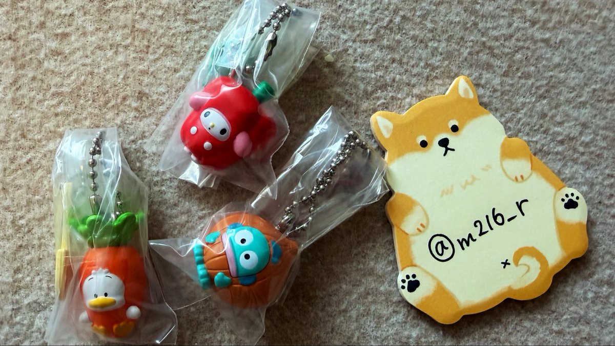 m216_r's tweet photo. 【交換】サンリオ ベジタブル

<譲>
マイメロ、ハンギョドン、ペックル

<求>
シナモン、ポムポムプリン

郵送にて交換になります。
検索からもお気軽にお声掛けください🔎
まとめての方を優先します。 https://t.co/zQjLIONC6a