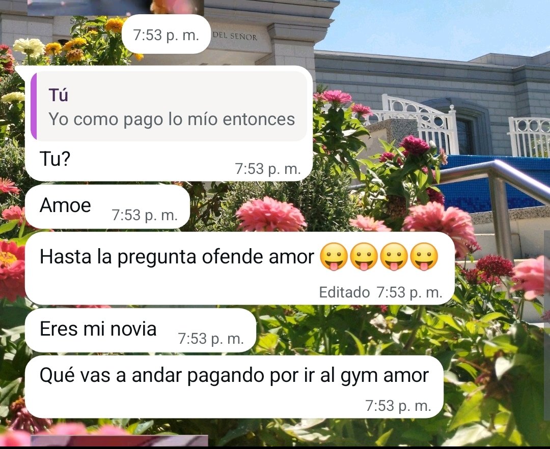notesofbeca's tweet photo. lo amo https://t.co/S53NlFugXa