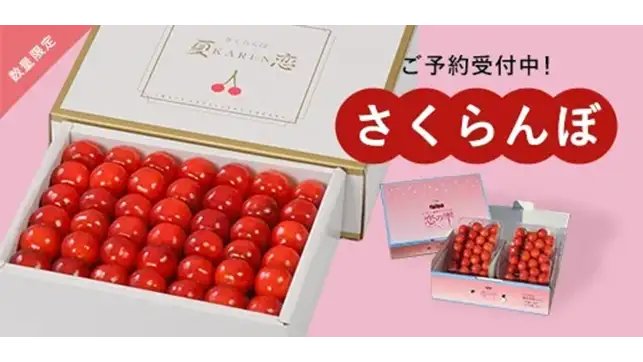 岩手県産さくらんぼ 佐藤錦「夏恋」「恋の雫」期間限定で販売中 JA