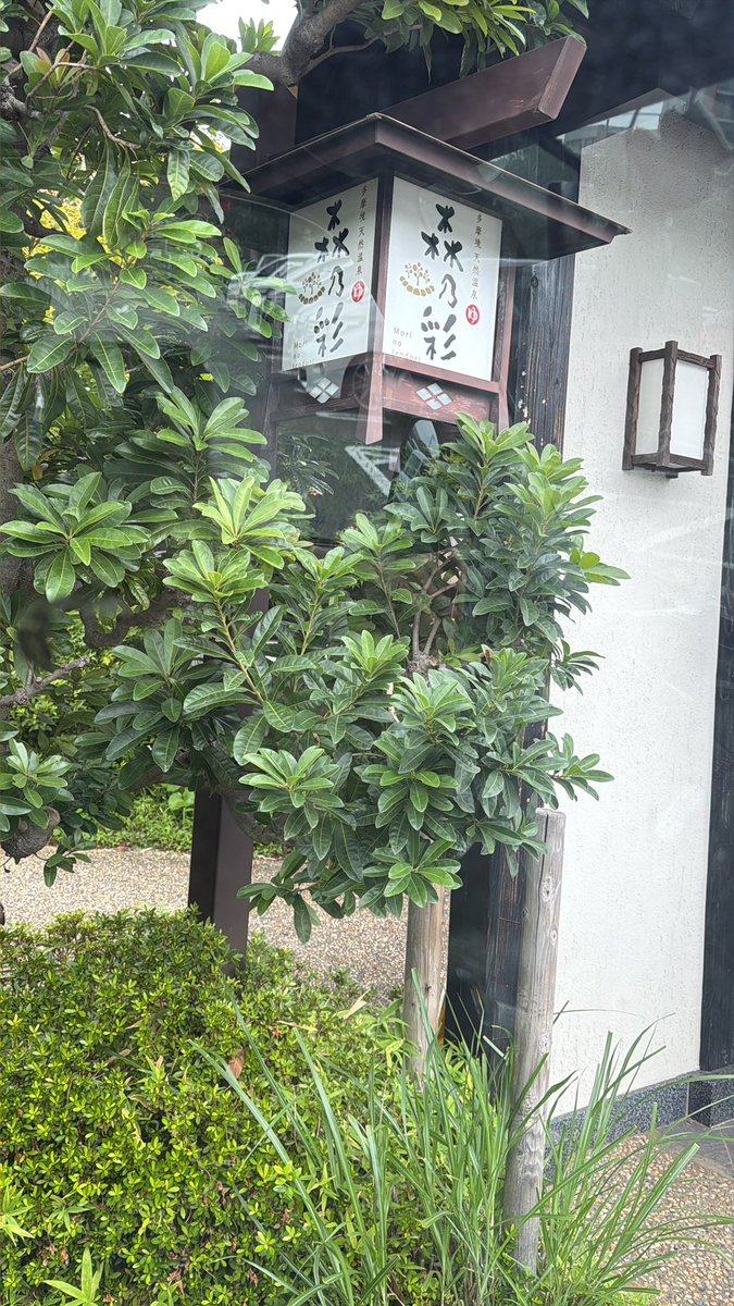 YToroku's tweet photo. https://t.co/VeqanKwzYM