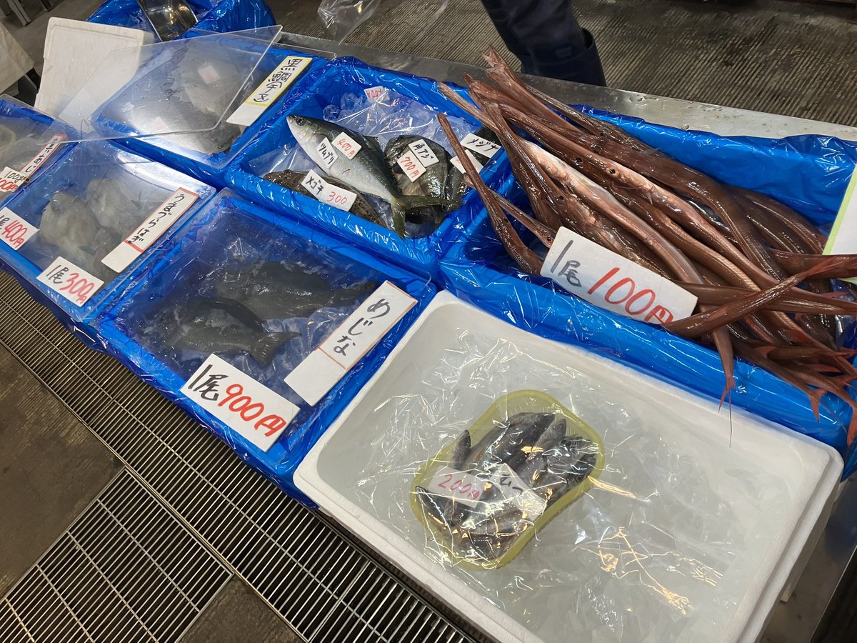 catch_sailfish's tweet photo. 釣れないからツムブリとヤガラ購入 https://t.co/1NVmhF0Uc9
