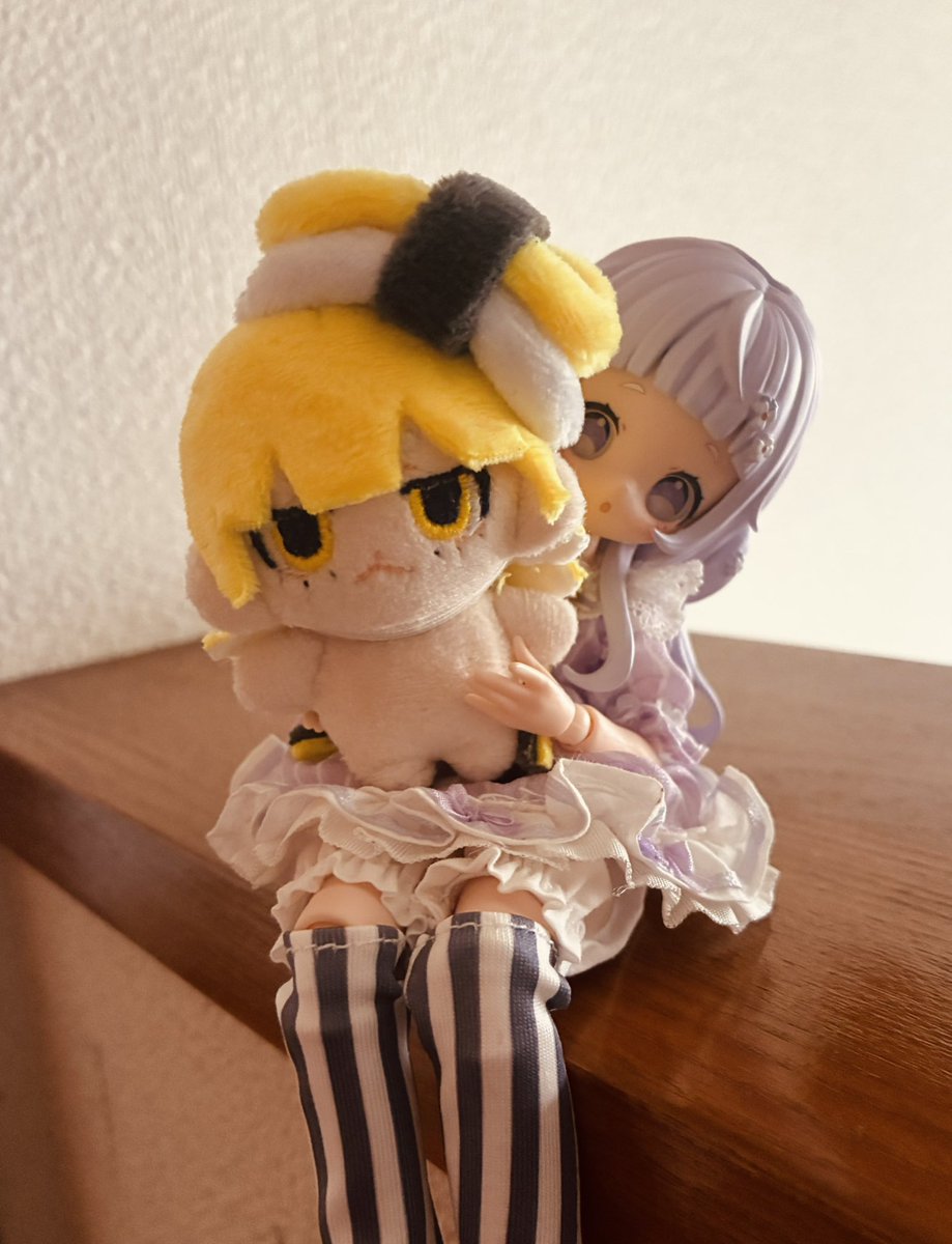 pizza_kata's tweet photo. 💛💜 https://t.co/24alVgL7xw