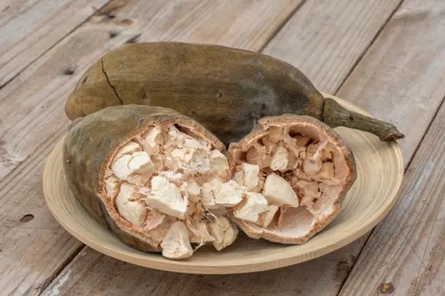 DedayoRoots's tweet photo. 🚨 FACTS about these food SOUND FAKE BUT ARE TRUE

Save this.

1. Baobab fruit (Oṣè)

Baobab fruit has a higher antioxidant score than any fruit tested https://t.co/qimxTcijea