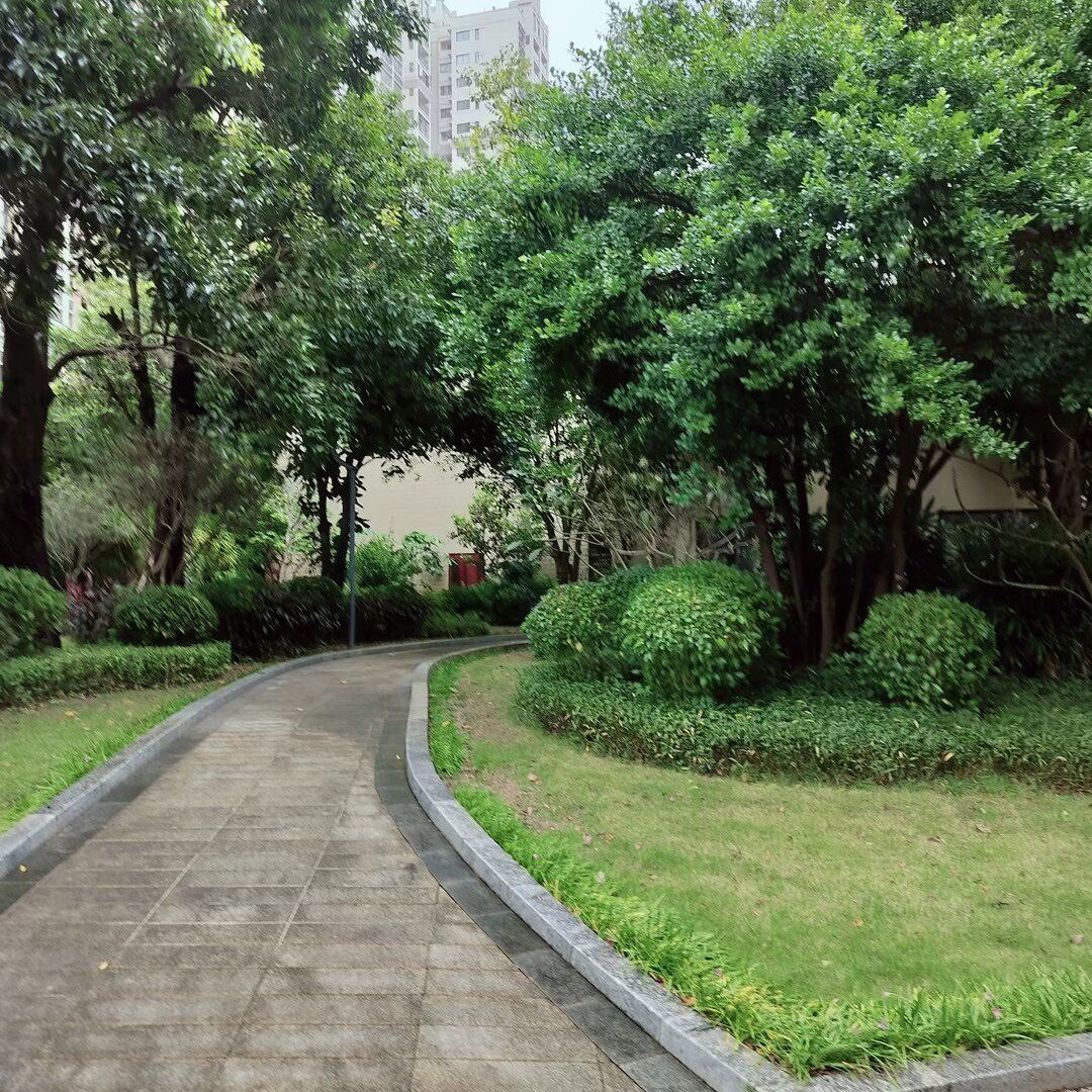 TinaFest69's tweet photo. Small daily steps lead to big health wins! Try a 10-minute walk after meals u0026 stay hydrated—your body will thank you. https://t.co/vbUJmhUetY