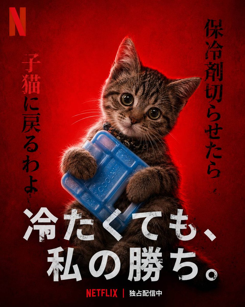 U_dbmsma7's tweet photo. 頭痛い😭
偏頭痛だな…… https://t.co/b5Y2glNkeG