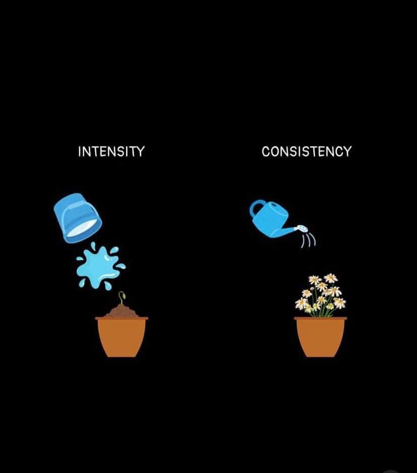 thematrixwizard's tweet photo. https://t.co/Gq3uQ9McsL