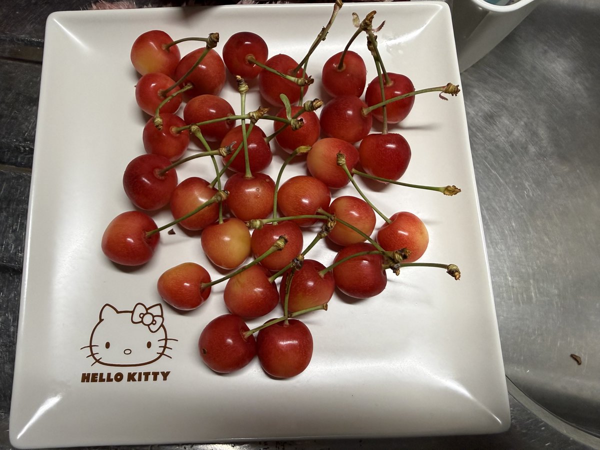 stardapforever's tweet photo. いちごちゃんありがとう😊 https://t.co/g2MZNDU95O