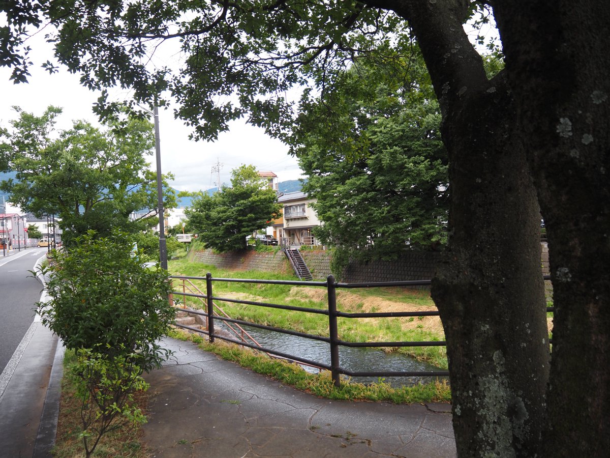 吉野和彦 tweet media