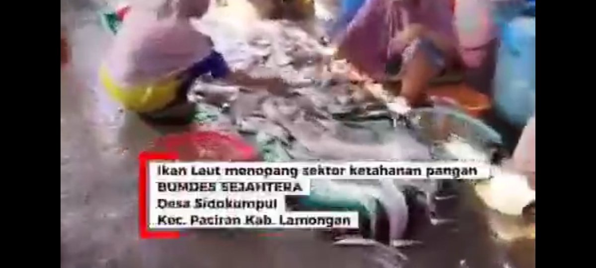 RonalVendra's tweet photo. Dari laut utk desa, dari desa utk ketahanan pangan. BUMDes Sejahtera Desa Sidokumpul Lamongan; bukti potensi lokal bisa mjd kekuatan ekonomi masyarakat

@YandriSusanto
@ARizaPatria 
@KemensetnegRI

#KementerianDesaPDT
#BPSDMKementerianDesaPDT
#BUMDesBangunEkonomiDesa
#BangunDesa https://t.co/pDG1vlHwZI