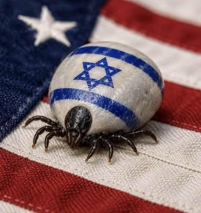 AngelAgent19's tweet photo. @DougAMacgregor #NetanyahuWarCriminal 
🦹‍♂️ https://t.co/1juNYUmpw4