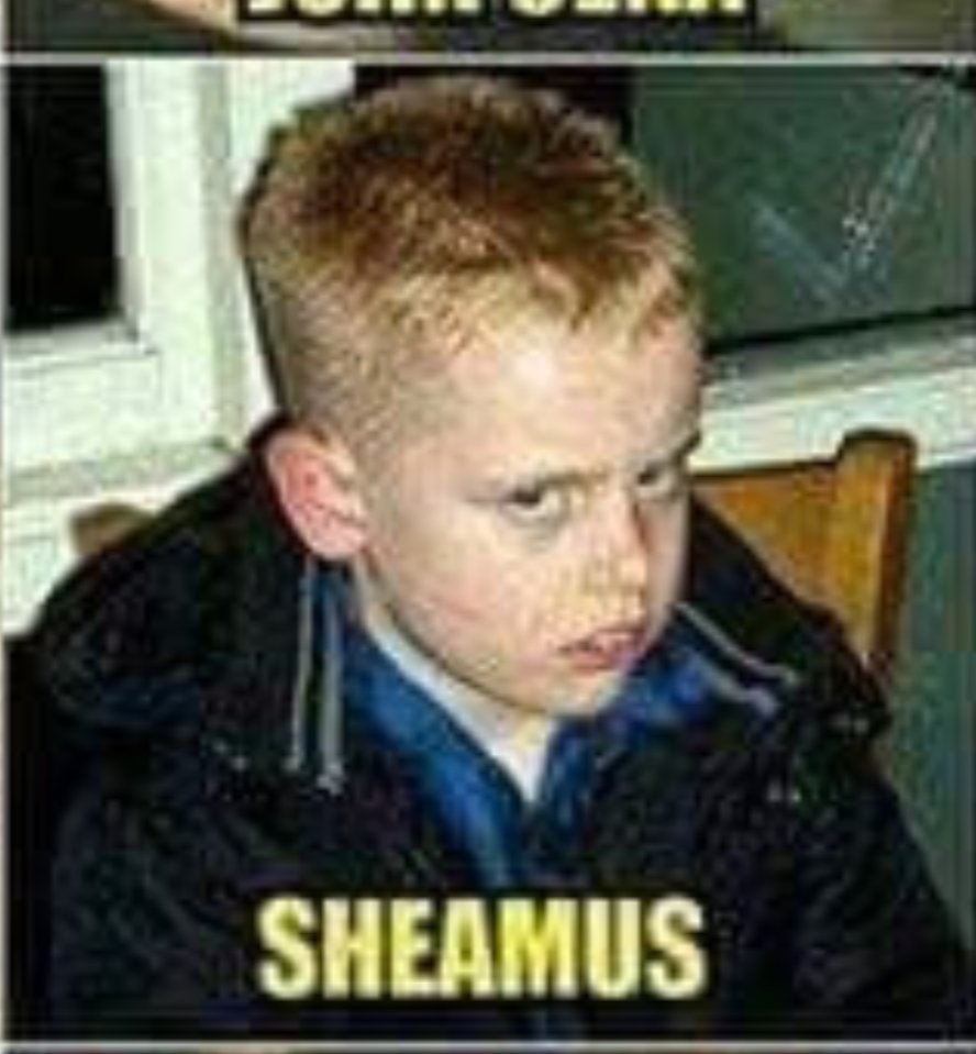 SteveO2054's tweet photo. @CTOTHELOS77 Ain't no way bro, this is just blatant Irish racism. https://t.co/ojyxvALQxP