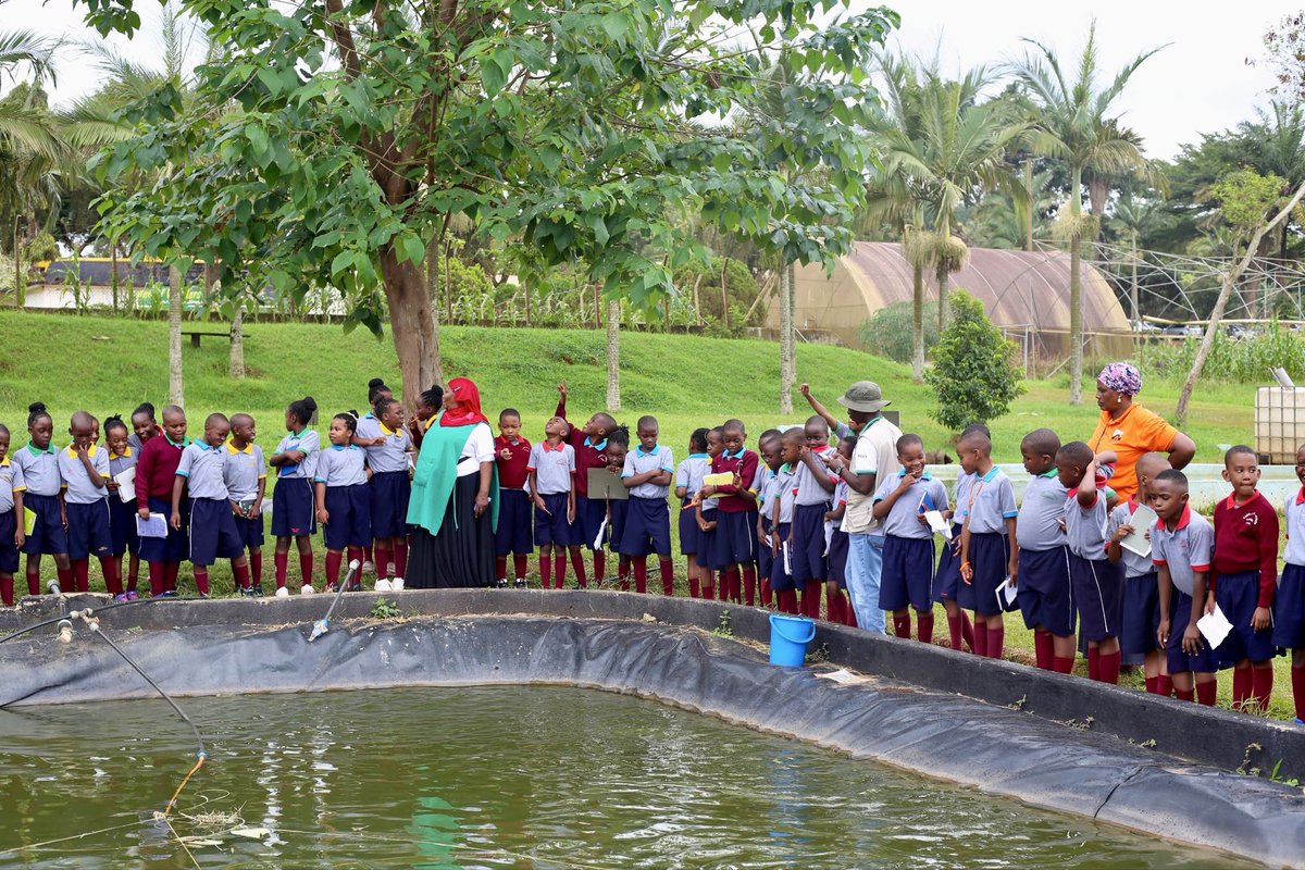 kabojjajunior's tweet photo. Learning beyond the classroom! 🌱 Our Primary 3 learners enjoyed an insightful visit to Naro Muzardi Farm, exploring agriculture through real life experiences.

Enroll today!

#KabojjaJuniorSchool #EducationalTrips #HandsOnLearning #YoungExplorers #FutureReady https://t.co/5ghjpdKIpS