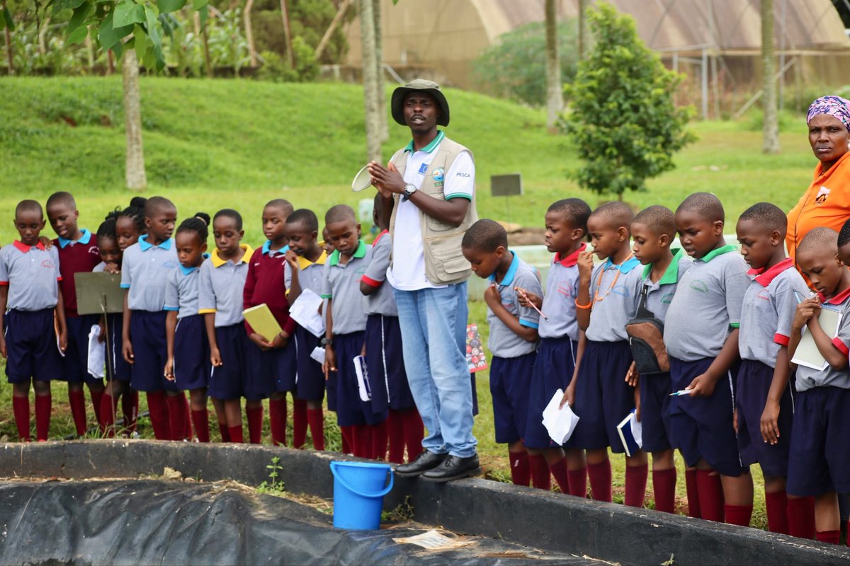 kabojjajunior's tweet photo. Learning beyond the classroom! 🌱 Our Primary 3 learners enjoyed an insightful visit to Naro Muzardi Farm, exploring agriculture through real life experiences.

Enroll today!

#KabojjaJuniorSchool #EducationalTrips #HandsOnLearning #YoungExplorers #FutureReady https://t.co/5ghjpdKIpS