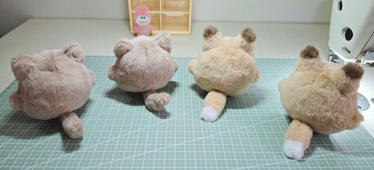 gombang0's tweet photo. https://t.co/JH8bg1hjSz