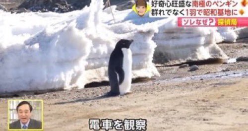kh_2456's tweet photo. https://t.co/xn8QDtlNNz